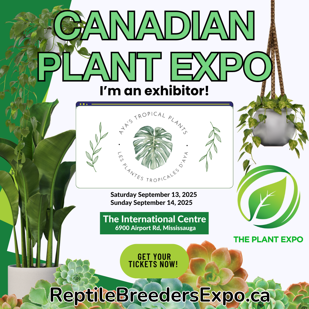 🌿🦎 Aya’s Tropical Plants at Pet EXPO Toronto 2025