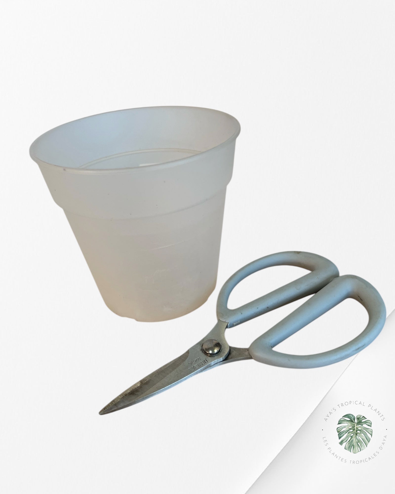 11 cm - Semi-Transparent Plastic Orchid Pot