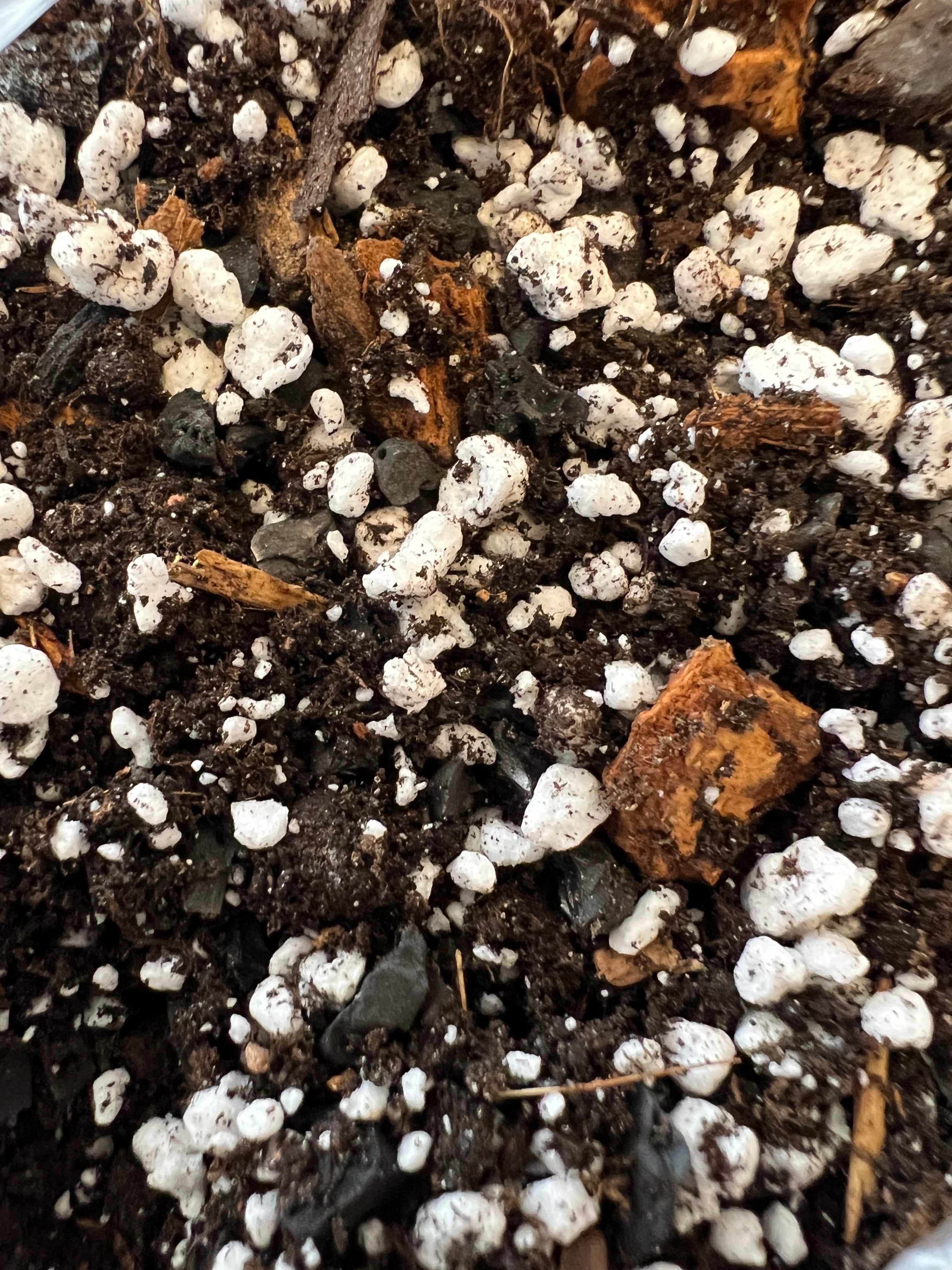 Soil mix